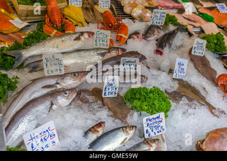 Fischtheke Stockfoto