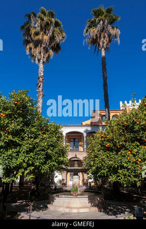 Jardín De La Alcubilla, Real Alcázar Sevilla, Andalusien, Spanien Stockfoto