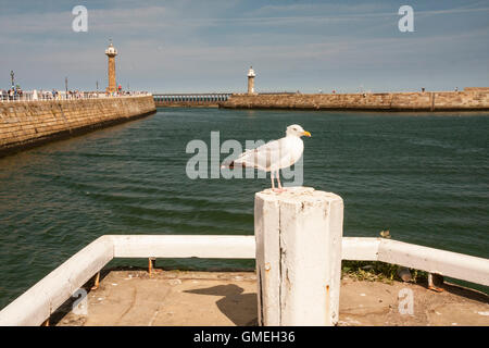 Ein Blick auf den Hafen von Whitby mit einer Möwe im Vordergrund Stockfoto