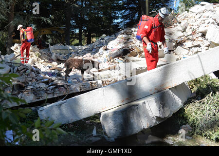 Rieti, Italien. 25. August 2016. Relief zwingt Suche nach Opfern mit Spürhunden in Amatrice in der Provinze Rieti, Italien, 25. August 2016. Ein schweres Erdbeben am 24. August 2016 hat zahlreiche Menschenleben in der Region in Mittelitalien. Foto: Maurizio Gambarini/Dpa/Alamy Live News Stockfoto