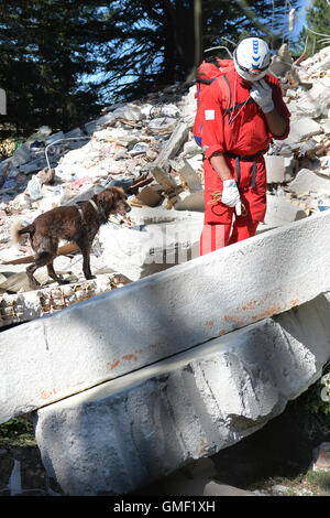 Rieti, Italien. 25. August 2016. Relief zwingt Suche nach Opfern mit Spürhunden in Amatrice in der Provinze Rieti, Italien, 25. August 2016. Ein schweres Erdbeben am 24. August 2016 hat zahlreiche Menschenleben in der Region in Mittelitalien. Foto: Maurizio Gambarini/Dpa/Alamy Live News Stockfoto