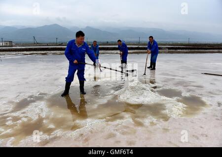 Yuncheng, China Shanxi Provinz. 25. August 2016. Arbeiter sammeln Salz auf ein Salz produzieren Basis in Salt Lake City in Yuncheng, Nord-China Shanxi Provinz, 25. August 2016. Salt Lake City von Yuncheng, weltberühmten Salz Binnensee bekannt als "Dead Sea of China", neu gestartet, seine Produktion von Salz vor kurzem, die hauptsächlich für die Herstellung von Skulpturen, Lichter und Badesalz verwendet wird. © Zhan Yan/Xinhua/Alamy Live-Nachrichten Stockfoto