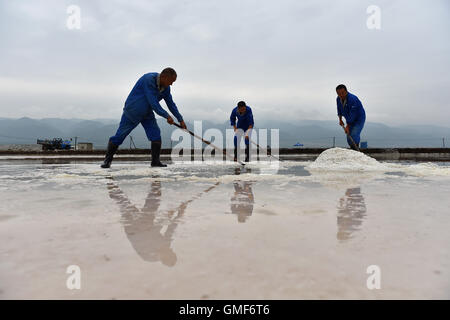 Yuncheng, China Shanxi Provinz. 25. August 2016. Arbeiter sammeln Salz auf ein Salz produzieren Basis in Salt Lake City in Yuncheng, Nord-China Shanxi Provinz, 25. August 2016. Salt Lake City von Yuncheng, weltberühmten Salz Binnensee bekannt als "Dead Sea of China", neu gestartet, seine Produktion von Salz vor kurzem, die hauptsächlich für die Herstellung von Skulpturen, Lichter und Badesalz verwendet wird. © Zhan Yan/Xinhua/Alamy Live-Nachrichten Stockfoto