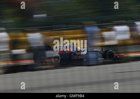 Spa Francorchamps, Belgien. 26. August 2016. Motorsport: FIA Formula One World Championship 2016, Grand Prix von Belgien, #55 Carlos Sainz Junior (ESP, Scuderia Toro Rosso), Credit: Dpa/Alamy Live-Nachrichten Stockfoto
