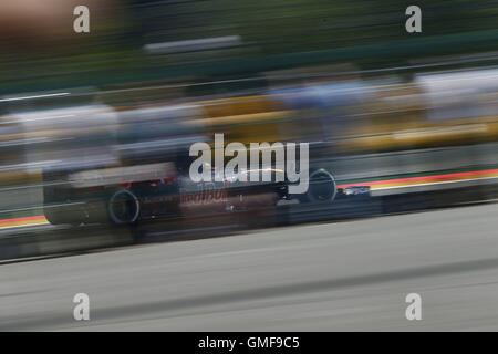 Spa Francorchamps, Belgien. 26. August 2016. Motorsport: FIA Formula One World Championship 2016, Grand Prix von Belgien, #55 Carlos Sainz Junior (ESP, Scuderia Toro Rosso), Credit: Dpa/Alamy Live-Nachrichten Stockfoto
