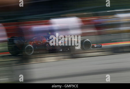 Spa Francorchamps, Belgien. 26. August 2016. Motorsport: FIA Formula One World Championship 2016, Grand Prix von Belgien, #55 Carlos Sainz Junior (ESP, Scuderia Toro Rosso), Credit: Dpa/Alamy Live-Nachrichten Stockfoto