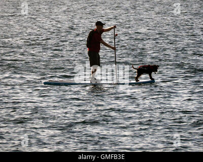 Southport, England. 26. August 2016. Ein warmer Abend in Southport, Merseyside UK 26. August 2016. Eine Paddel-Boarder genießt einen Abend Paddel auf Southport Marine See mit seinem Hund. Bildnachweis: ALAN EDWARDS/Alamy Live-Nachrichten Stockfoto