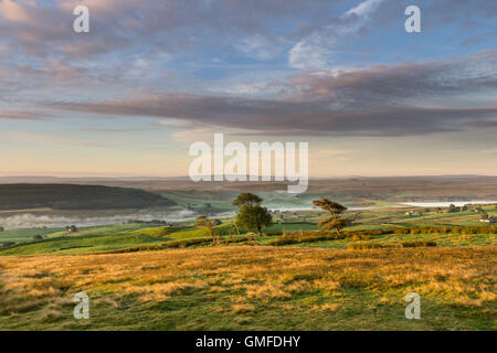 Harter fiel, Lunedale, County Durham UK. Samstag, 27. August 2016.  Großbritannien Wetter.  Es war ein kühl und neblig Start in das Wochenende und Feiertagen in den North Pennines, aber Nebel wird voraussichtlich anheben, um eine feine und sonnigen Tag geben. Heute Abend soll Cloud verdicken, um starkem Regen und Donner auf einige Bereiche zu bringen. Bildnachweis: David Forster/Alamy Live-Nachrichten. Stockfoto