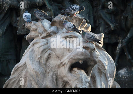 Tauben, die Beflockung der Löwenkopf im Untergeschoss des Denkmals für König Victor Emmanuel II von Italien, entworfen von dem italienischen Bildhauer Ercole Rosa auf der Piazza del Duomo in Mailand, Lombardei, Italien. Stockfoto