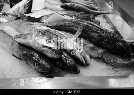 Fischmarkt in einer südlichen Städten Europas Stockfoto