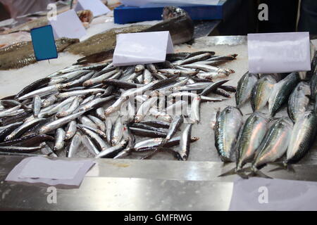 Fischmarkt in einer südlichen Städten Europas Stockfoto