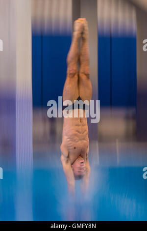 Tom Daley konkurriert in der British Gas National Cup, Southend-on-Sea, 2. Februar 2014. Stockfoto