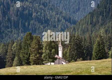 Dolomiten, Trentino, Italien. Kirche in den Parco Naturale Paneveggio unter den Gipfeln der Pale di San Martino (Sommer) Stockfoto