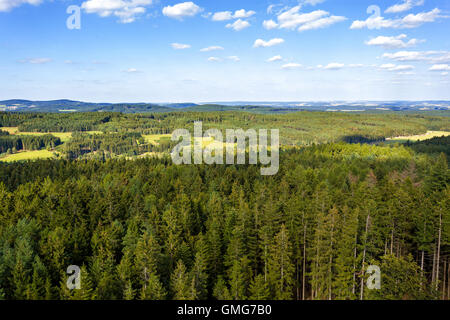 Luftaufnahme von Lookout U Jakuba tschechische Landschaft als Böhmisches Kanada bekannt. Touristischer Ort. Ich betrachte den Wald, Feld und Wiesen Stockfoto