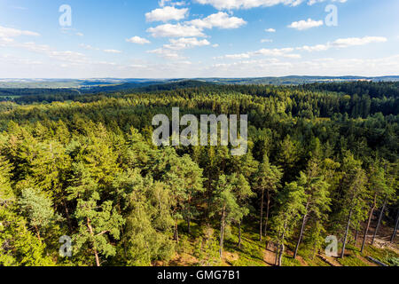 Luftaufnahme von Lookout U Jakuba tschechische Landschaft als Böhmisches Kanada bekannt. Touristischer Ort. Ich betrachte den Wald, Feld und Wiesen Stockfoto