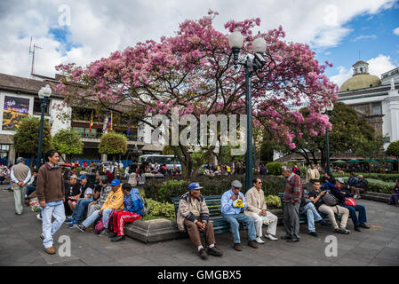 Menschen aller Altersgruppen treffen auf dem Platz der Unabhängigkeit in Altstadt Quito, Ecuador. Stockfoto