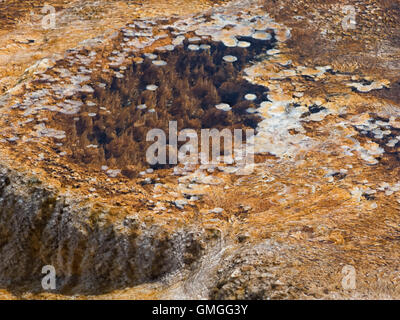 Braunalgen wächst in vertikalen Spalten im warmen Wasser eines Hotspring. Stockfoto
