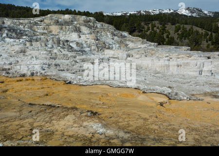 Wasser aus einem Hotspring fließt Pass weißen Kalkstein bei Mammut Hotsprings braun Stockfoto