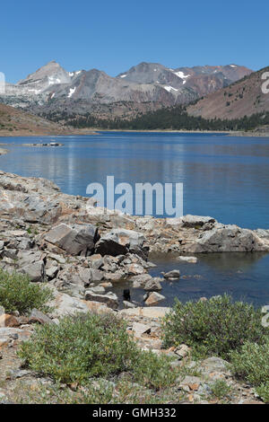Satteltasche-See in der östlichen Sierra Nevada enthält Rainbow Brown Brooke und goldene Forelle. Stockfoto