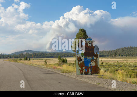 Smokey Bär Feuer Warnschild in der Sierra Nevada Kaliforniens mit der Clark ein Lauffeuer brennen im Hintergrund genommen, Blick nach Norden auf der Autobahn 395 Stockfoto