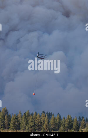 california Wildfire Forest. Billings Flying Services CH 47D Chinook Hubschrauber gegen das Clark-Feuer in der Nähe des kahlen Berges im Inyo-Nationalwald C Stockfoto