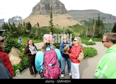 9. August 2016 - Glacier National Park, Montana, Vereinigte Staaten von Amerika - A US Park Service Intern gibt eine Darstellung. Stockfoto