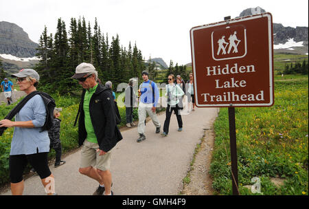 9. August 2016 gelten - Glacier National Park, Montana, Vereinigte Staaten von Amerika - Wanderer im Glacier Nationalpark in Montana. Stockfoto