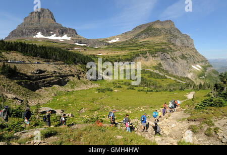 15. August 2016 gelten - Glacier National Park, Montana, Vereinigte Staaten von Amerika - Wanderer auf der Highline-Spur im Glacier National Park Stockfoto