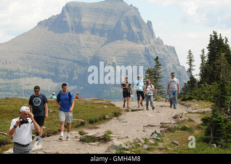 15. August 2016 gelten - Glacier National Park, Montana, Vereinigte Staaten von Amerika - Wanderer auf Hidden Lake Trail im Glacier National Park. Stockfoto