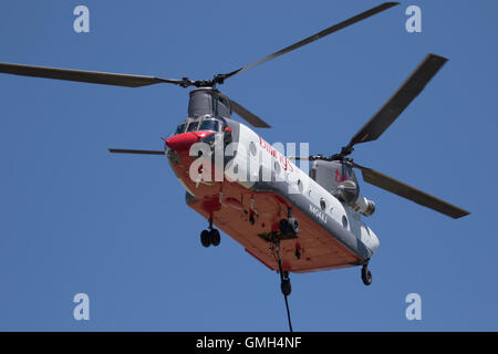 Billings Flying Services CH 47D Chinook Hubschrauber gegen die Clark Feuer in der Nähe von Glatze Mountain im Inyo National Forest California USA Stockfoto