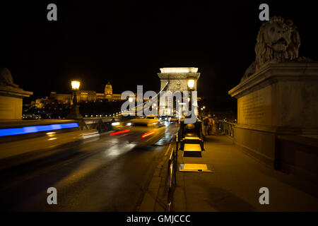 Lange Exposition Foto zeigt Autos und eine Limousine Unschärfe und einem steinernen Löwen auf der Széchenyi Kettenbrücke Budapest bei Nacht Stockfoto