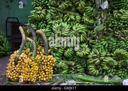 Die Trauben der geernteten Bananen auf einem Markt in Kerala, Indien Stockfoto