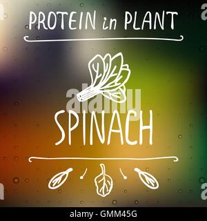 Handgezeichnete Blattspinat Stock Vektor