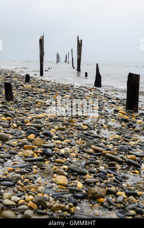 Verfallene Wharf im Obstanbau Wharf in der Nähe von Takaka, Golden Bay, Tasman District, Südinsel, Neuseeland Stockfoto