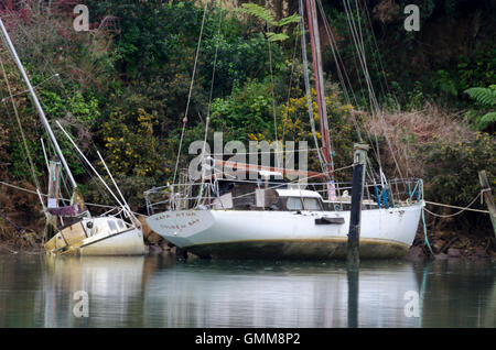 Alten Yachten ankern in Ligar Bay, Takaka, Tasman District, Südinsel, Neuseeland Stockfoto