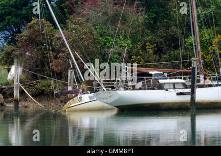 Alten Yachten ankern in Ligar Bay, Takaka, Tasman District, Südinsel, Neuseeland Stockfoto