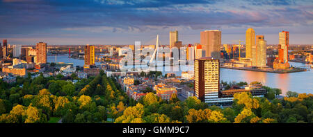 Rotterdam-Panorama. Panorama-Bild von Rotterdam, Niederlande im Sommer Sonnenuntergang. Stockfoto