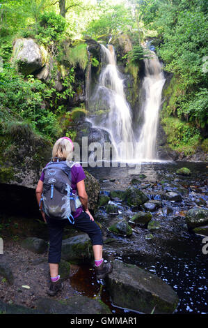 Lone Lady Walker Posforth Gill Wasserfall im Valley of Desolation, Bolton Abbey, Yorkshire Dales National Park zu betrachten. UK Stockfoto