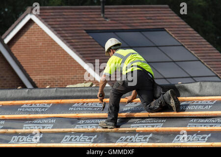 Dachdecker arbeiten an neuen erschwinglichen Häusern. Energieeffiziente Häuser stehen kurz vor der Fertigstellung in Buckshaw Village, in der Nähe von Chorley, Lancashire, Großbritannien Stockfoto