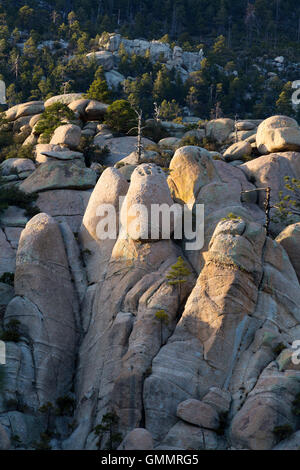 Späten Nachmittag Lichtmenge Granitfelsen in die Wildnis des Rocks. Pusch Ridge Wilderness, Arizona Stockfoto