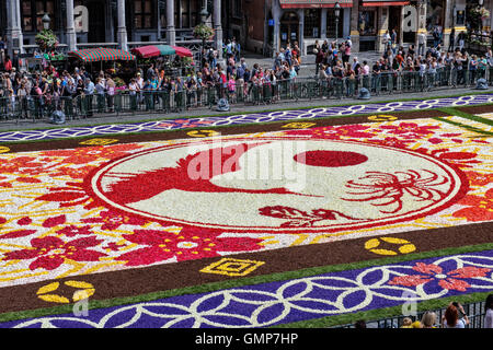 Menschen bewundern auf Samstag, 13. August 2016 Blumenteppich am Grand Place in Brüssel, Belgien. Dieses Mal war das japanische Thema c Stockfoto