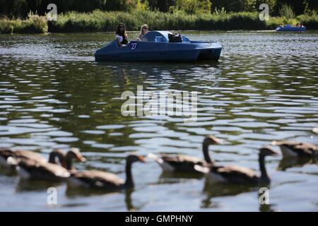 Menschen mit einem Tretboot am Hyde Park, London, an einem warmen und sonnigen Tag. Stockfoto