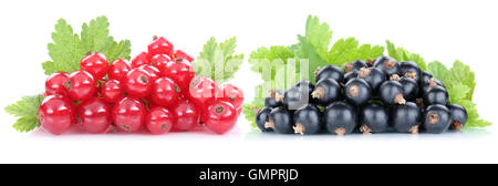Rote und schwarze Johannisbeere Johannisbeere Beeren frisches Obst Obst auf einem weißen Hintergrund isoliert Stockfoto
