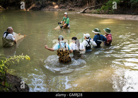Wayne, Michigan - Freiwilligen mit Freunden des Rouge verwenden eine Seine net eine Fisch-Umfrage auf der unteren Rouge River machen. Stockfoto