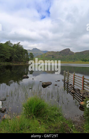 Morgennebel über Blea Tarn und fernen Langdale Pikes, Langdale, Cumbria, Nationalpark Lake District, England, UK. Stockfoto