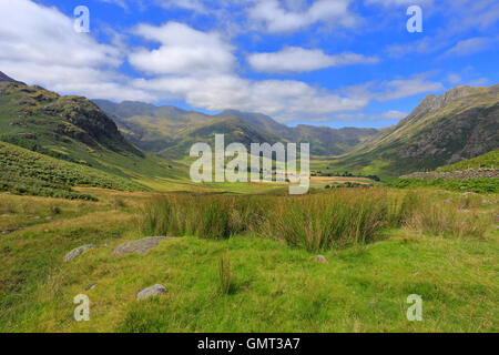 Langdale Pikes und Langdale Tal in der Nähe von Blea Tarn, Cumbria, Nationalpark Lake District, England, UK. Stockfoto