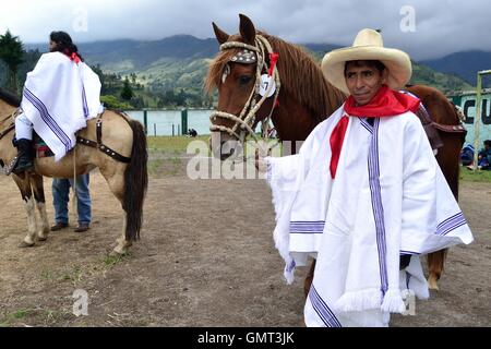 Wettbewerb Paso Fino Pferde - Landwirtschaftsmesse - Fiestas De La Virgen del Carmen in Sapalache "Las Huaringas" - PERU Stockfoto