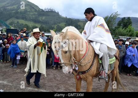 Wettbewerb Paso Fino Pferde - Landwirtschaftsmesse - Fiestas De La Virgen del Carmen in Sapalache "Las Huaringas" - PERU Stockfoto