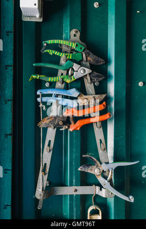 Bunte Zange hängen rack Stockfoto