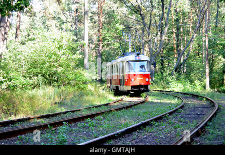 Retro-rote Triebwagen fährt auf der gleichen Bahn den Wald. Stockfoto